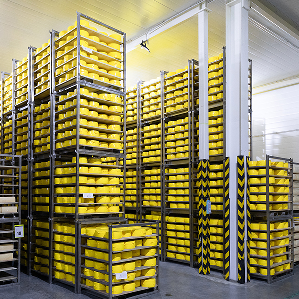 Cold Storage